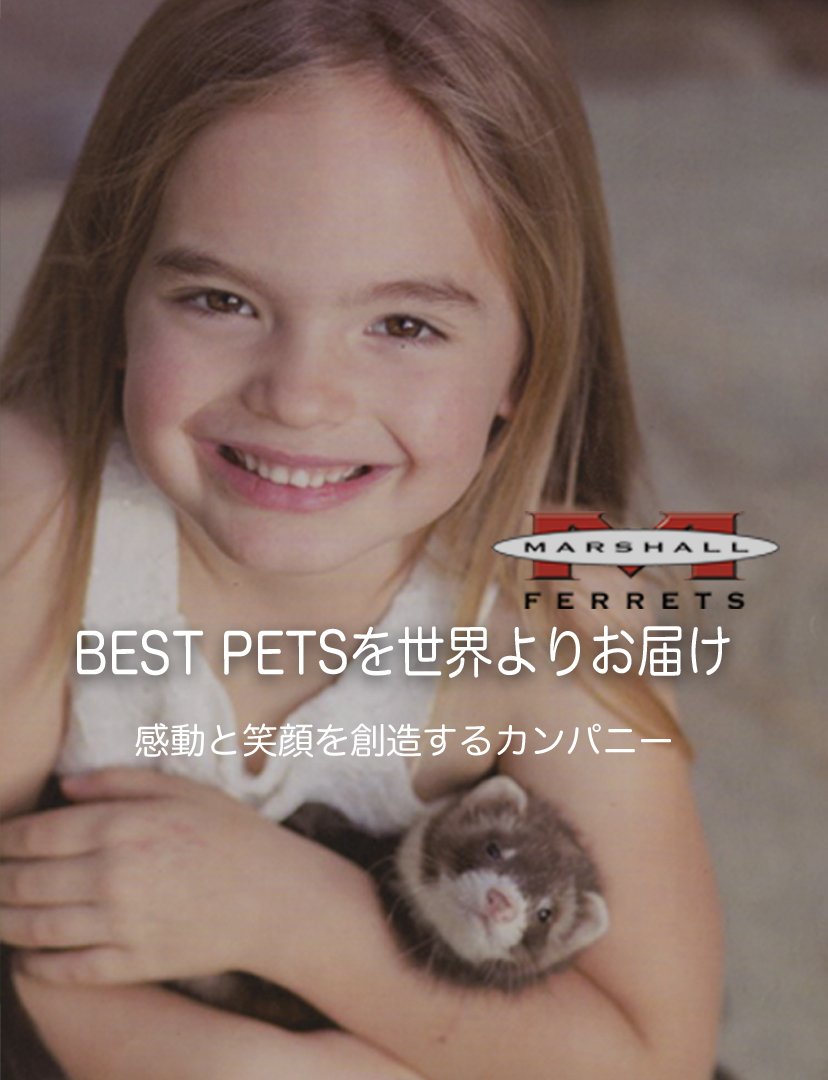 マーシャルフェレット,marshallferret,BVJ マーシャルフェレット,marshallferret,BVJ