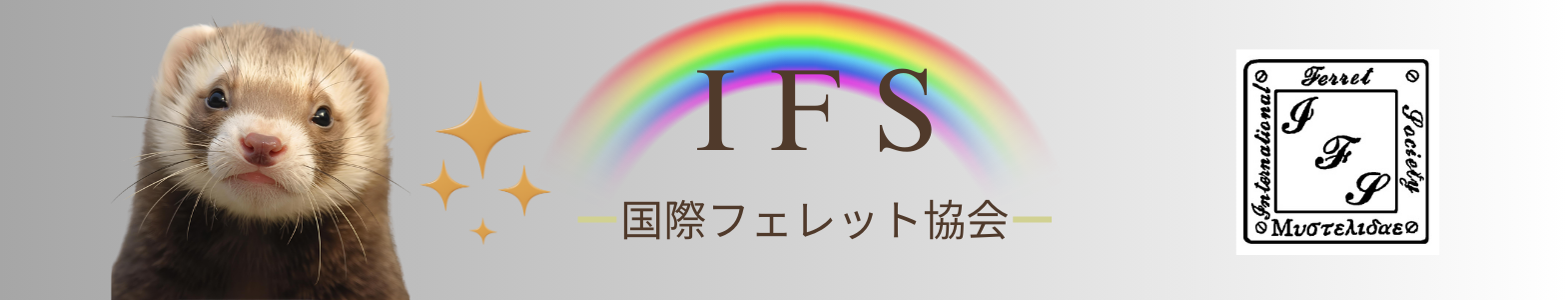 IFS 国際フェレット協会 IFS 国際フェレット協会