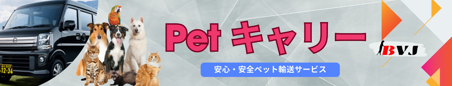 ペットタクシー ペットタクシー